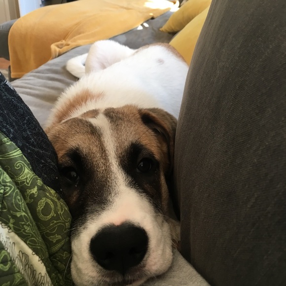 Meet your Posher, Alex - Picture 6 of 6